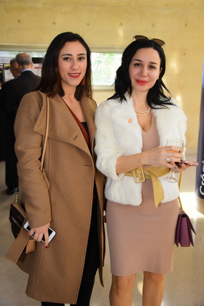 Afel wins the 2018 peace prize 
